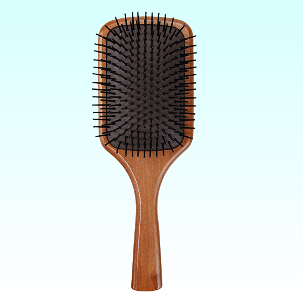 Professional Hair Brushes